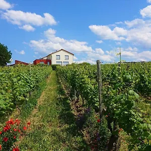 https://weinbergshof-rickel.com-bavaria.com